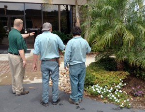 Service Package Pricing