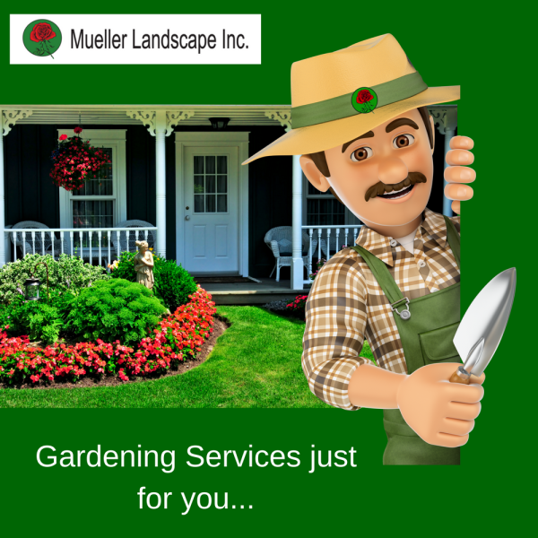 Gardening Services and Landscape Maintenance San Diego Mueller