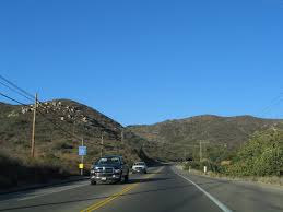 Rancho San Diego Gardening